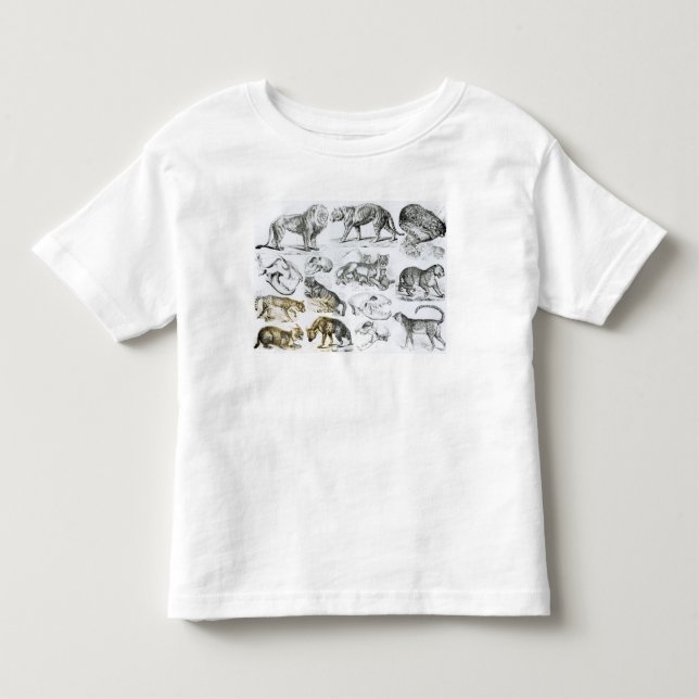 Camiseta Infantil Animais carnívoros (Frente)
