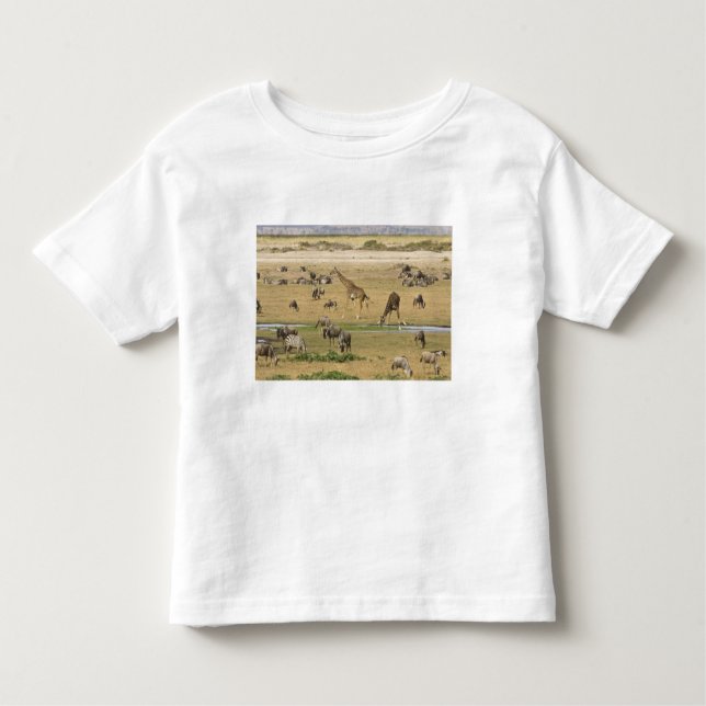 Camiseta Infantil Animais selvagens, Zebras e Girafas (Frente)
