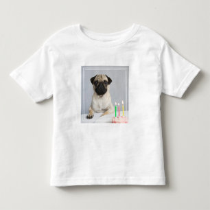 Camiseta Infantil Aniversário Pug