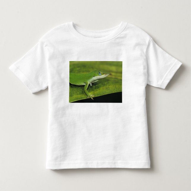 Camiseta Infantil Anole Verde, Anolis carolinensis, adulto na palma (Frente)