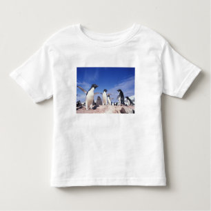 Camiseta Infantil Antártica, Adelie Penguin Pygoscelis