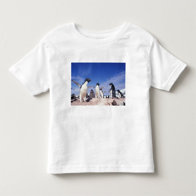 Camiseta Infantil Antártica, Adelie Penguin Pygoscelis (Frente)