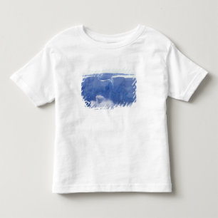 Camiseta Infantil Antártica, Baía do Paraíso, Formas de ondas mac