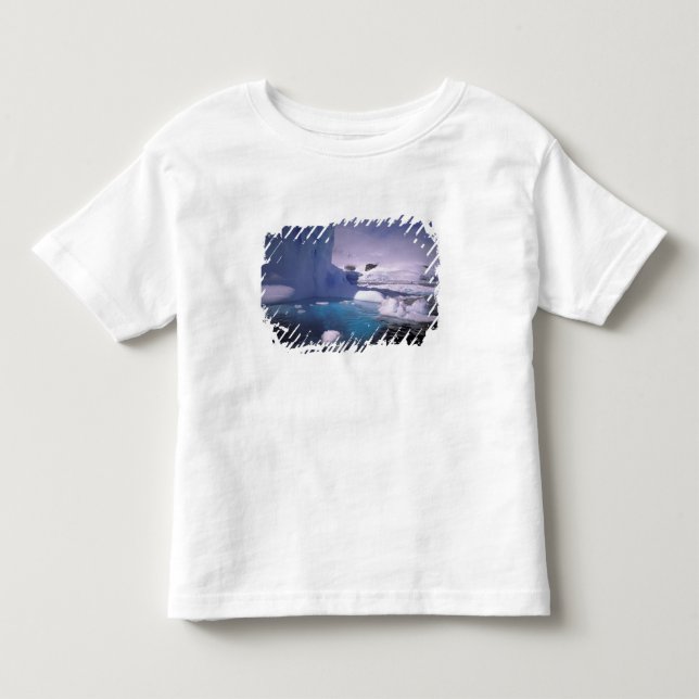 Camiseta Infantil Antártica. Fugas antárticas 2 (Frente)