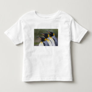 Camiseta Infantil Antártica, Ilha da Geórgia do Sul (Reino Unido), R