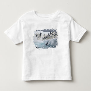 Camiseta Infantil Antártica, Ilha Paulet. Pinguins addeliados