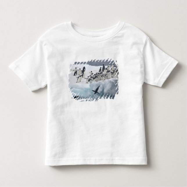 Camiseta Infantil Antártica, Ilha Paulet. Pinguins addeliados (Frente)