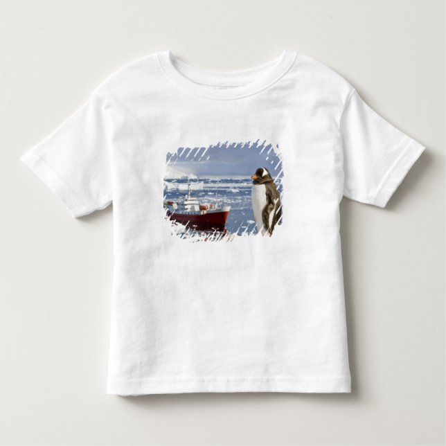 Camiseta Infantil Antártica, Neko Cove (Porto). Pinguim Gentoo (Frente)