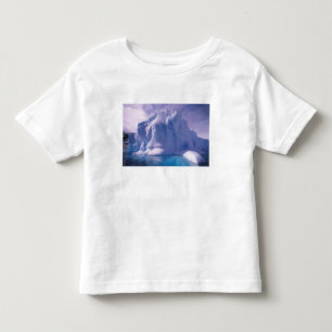 Camiseta Infantil Antártica. Paisagens de gelo antárticas