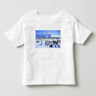 Camiseta Infantil Antártica, Península Antártica, Mar de Weddell, 5