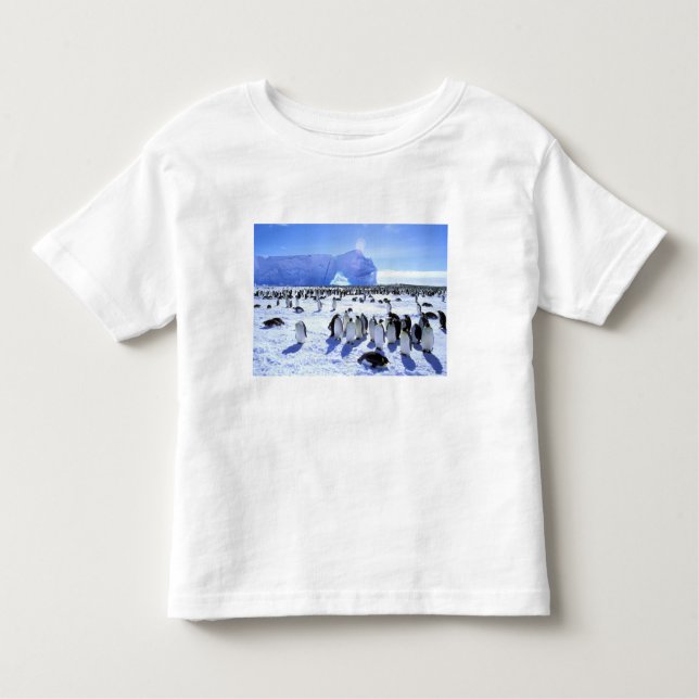 Camiseta Infantil Antártica, Península Antártica, Mar Weddell, 5 (Frente)
