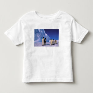 Camiseta Infantil Antártica, Território Antártico Australiano, 7
