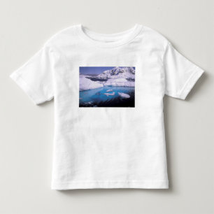 Camiseta Infantil Antártida. Expedição através de paisagens de gelo