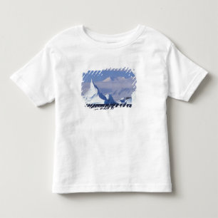 Camiseta Infantil Antártida, Ilha Boothe, Sol da tarde