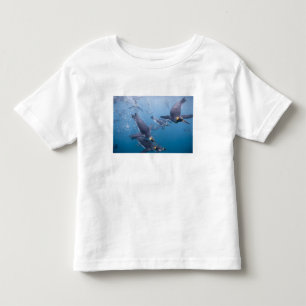 Camiseta Infantil Antártida, Ilha da Geórgia do Sul (Reino Unido), 2