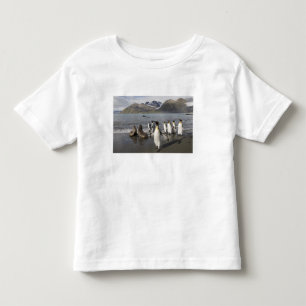 Camiseta Infantil Antártida, Ilha da Geórgia do Sul (Reino Unido), A