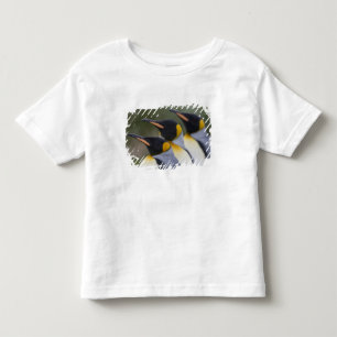 Camiseta Infantil Antártida, Ilha Geórgia do Sul (Reino Unido), Rei
