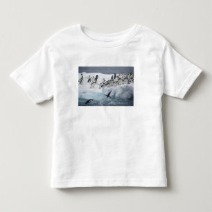 Camiseta Infantil Antártida, Ilha Paulet. Pinguins Adelie