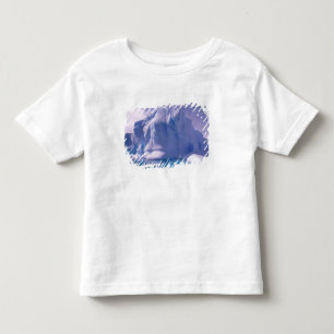 Camiseta Infantil Antártida. Paisagens de gelo antárticas