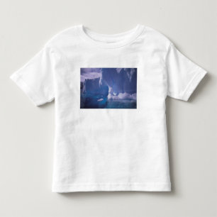 Camiseta Infantil Antártida. Paisagens de gelo antárticas 3