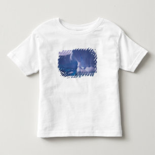 Camiseta Infantil Antártida. Paisagens de gelo da Antártica 3