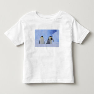Camiseta Infantil Antártida. Pinguins-imperadores e filhote