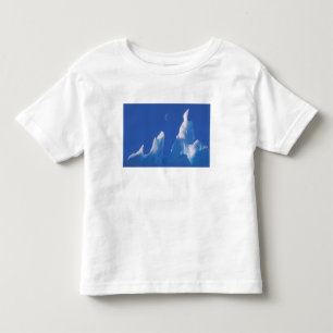 Camiseta Infantil Antártida, Território Antártico Australiano.