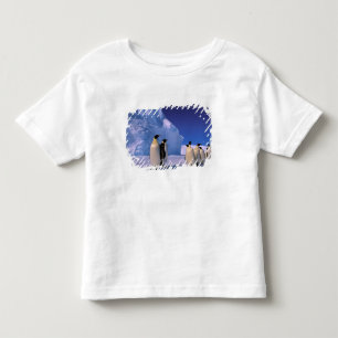 Camiseta Infantil Antártida, Território Antártico Australiano, 7