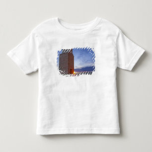 Camiseta Infantil Antigo celeiro em Collins Montana ao nascer do sol