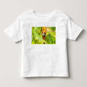 Camiseta Infantil apego calmo