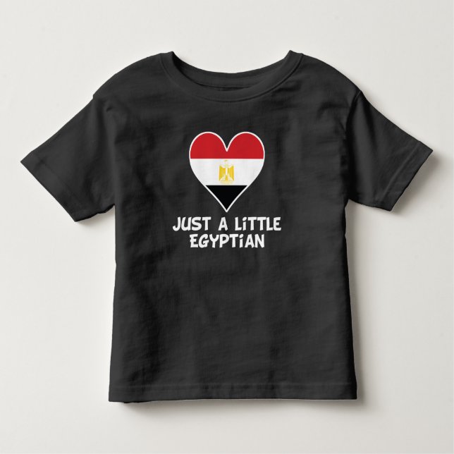 Camiseta Infantil Apenas um egípcio pequeno (Frente)