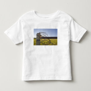 Camiseta Infantil Arame farpado enrolado na cerca perto