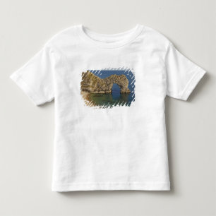 Camiseta Infantil Arco da Durdle Door, Patrimônio Mundial Costa Jurá