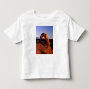 Camiseta Infantil Arco Delicado ao pôr do sol com La coberto de neve