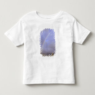 Camiseta Infantil Arco-íris sobre Honolulu, Havaí, EUA