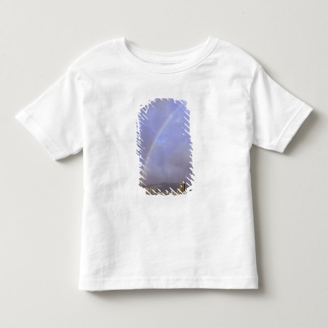 Camiseta Infantil Arco-íris sobre Honolulu, Havaí, EUA (Frente)