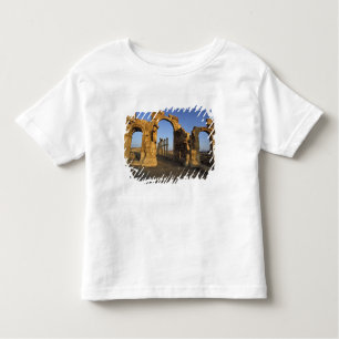 Camiseta Infantil Arco Monumental, Palmyra, Homs, Síria