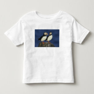 Camiseta Infantil Arctica do papagaio-do-mar atlântico, do