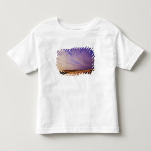 Camiseta Infantil Área de Recreação Nacional das Dunas de Oregon, Or