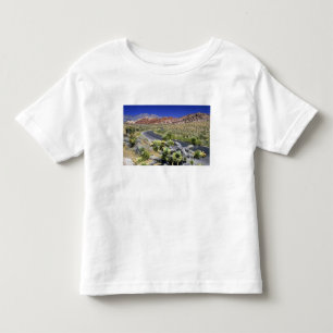Camiseta Infantil Área Nacional de Conservação do Canyon Red Rock, L