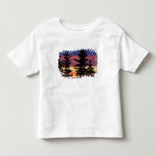 Camiseta Infantil ÁREA SILVESTRE DE HUSTON PARK, WYOMING. EUA. Spruc