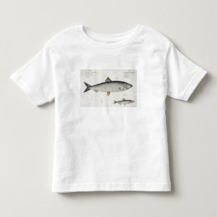 Camiseta Infantil Arenque (Clupea Harengus) (Fig. 1) e Sprat (Clup)