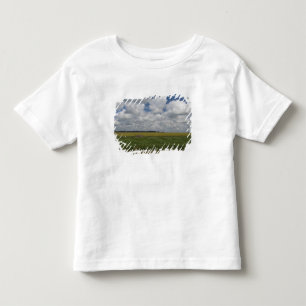 Camiseta Infantil Argentina, Buenos Aires, San Antonio de Areco.