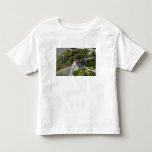 Camiseta Infantil Argentina, Cataratas do Iguaçu. Arco-íris em Iguac