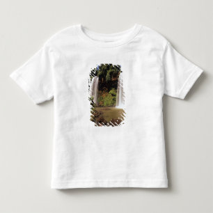 Camiseta Infantil Argentina, Iguaçu, cataratas do Iguaçu. Salto Dos