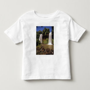 Camiseta Infantil Argentina, Iguaçu, cataratas do Iguaçu. Salto Dos