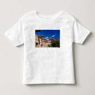 Camiseta Infantil Arizona, Window Rock. Capital dos Navajos