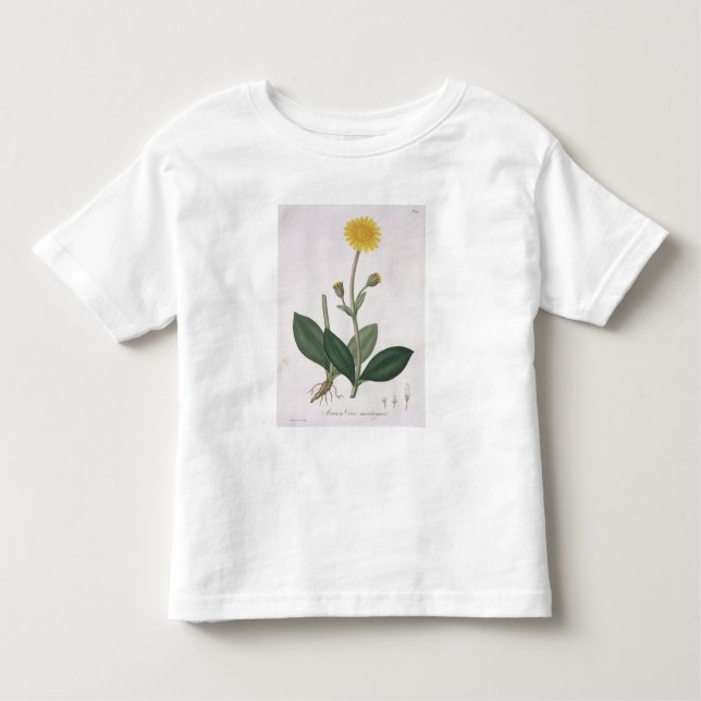 Camiseta Infantil Arnica Montana de "Phytographie Medicale" por Jos (Frente)