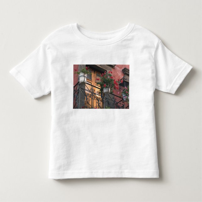 Camiseta Infantil Arquitetura nas ruas de San Miguel de (Frente)