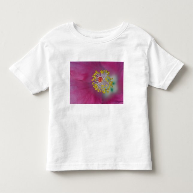 Camiseta Infantil Arranjo do estame floral de Hibiscus, Hibiscus (Frente)